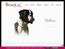 Tablet Screenshot of boxerdelmar.com